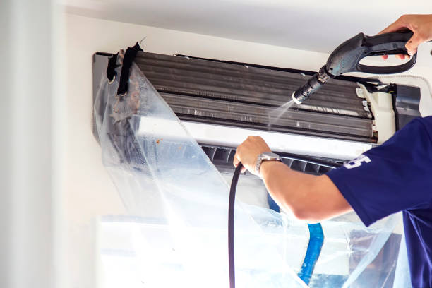 Best Air Vent Cleaning Services  in Harbor Beach, MI