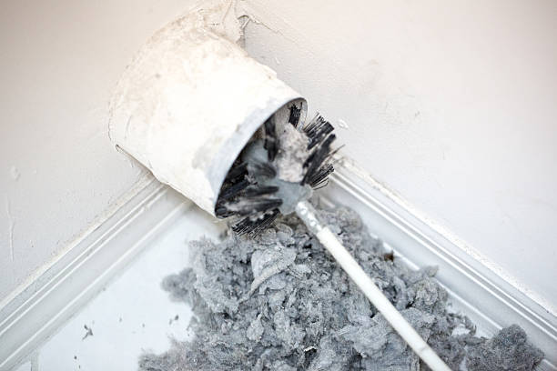 Best Affordable HVAC Duct Cleaning  in Harbor Beach, MI